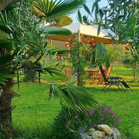 Guest house Twins Farm *
